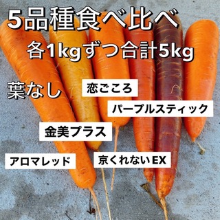 どれが好き？フルーツ人参 5品種 食べ比べ 5kg 葉なし(野菜)