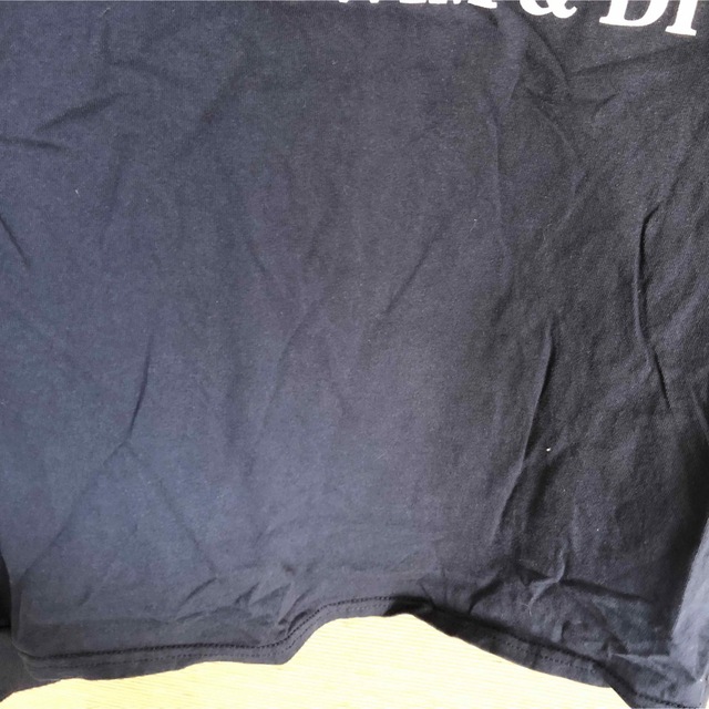 GILDAN(ギルタン)の【ギルダン】ロンT　アニマル　クマ　ベアー　デカロゴ　スイミング　ダイビング16 メンズのトップス(Tシャツ/カットソー(七分/長袖))の商品写真