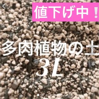 値下げ中❣️多肉植物　サボテンの土　約3リットル 即購入歓迎❣️(その他)