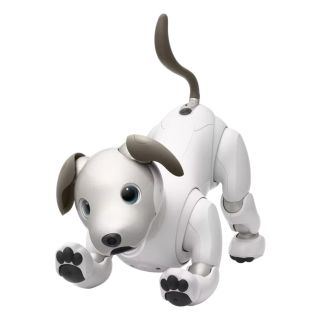 ソニー(SONY)のSONY aibo 本体（ERS-1000）新品未開封(その他)