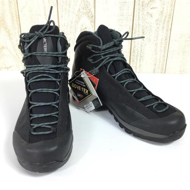 MENs 26.0cm  アークテリクス アクルックス TR ゴアテックス ブーツ ACRUX TR GTX Boots トレッキングシューズ ARCTERYX L07212300 Black / Neptune ブラック系