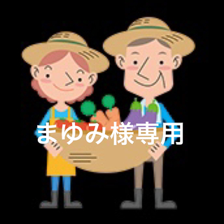 まゆみ様専用 淡路島産新玉ねぎ5kg スーパーアップ 農薬不使用 高糖度 夢玉(野菜)