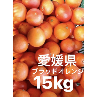 愛媛県産　ブラッドオレンジ　柑橘　15kg(フルーツ)