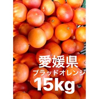 愛媛県産　ブラッドオレンジ　柑橘　15kg(フルーツ)