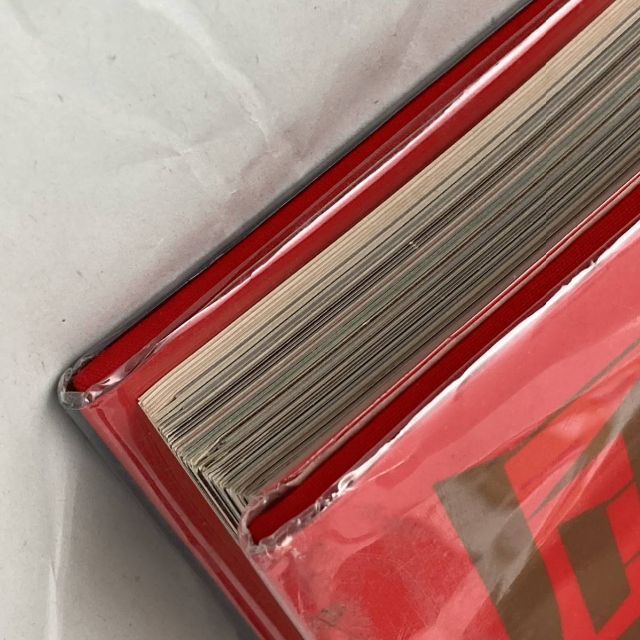 Eiko by Eiko 風姿花伝 石岡 瑛子 ハードカバー 初版本 洋書 登場