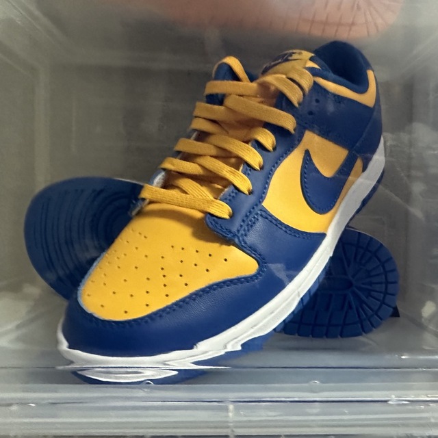 NIKE DUNK LOW MICHIGAN 28cm 未試着新品