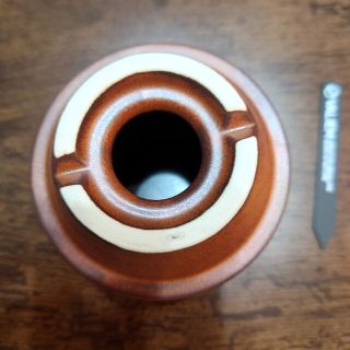 VALIEM 鉢 NAME pot rise-caudex 限定モデル