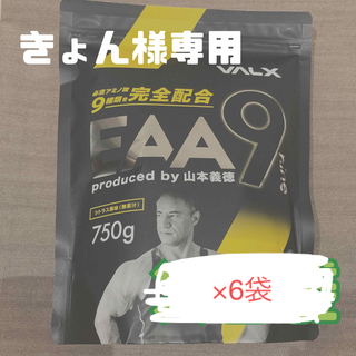きょん様専用　VALX EAA9 シトラス　750g×6袋【賞味期限2025.2(アミノ酸)
