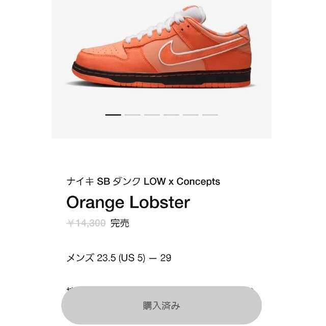 Concepts × Nike Orange Lobster メンズの靴/シューズ(スニーカー)の商品写真