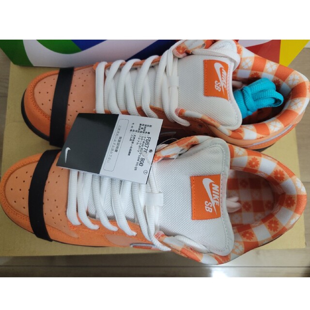 Concepts × Nike Orange Lobster メンズの靴/シューズ(スニーカー)の商品写真