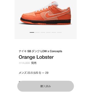 Concepts × Nike Orange Lobster(スニーカー)