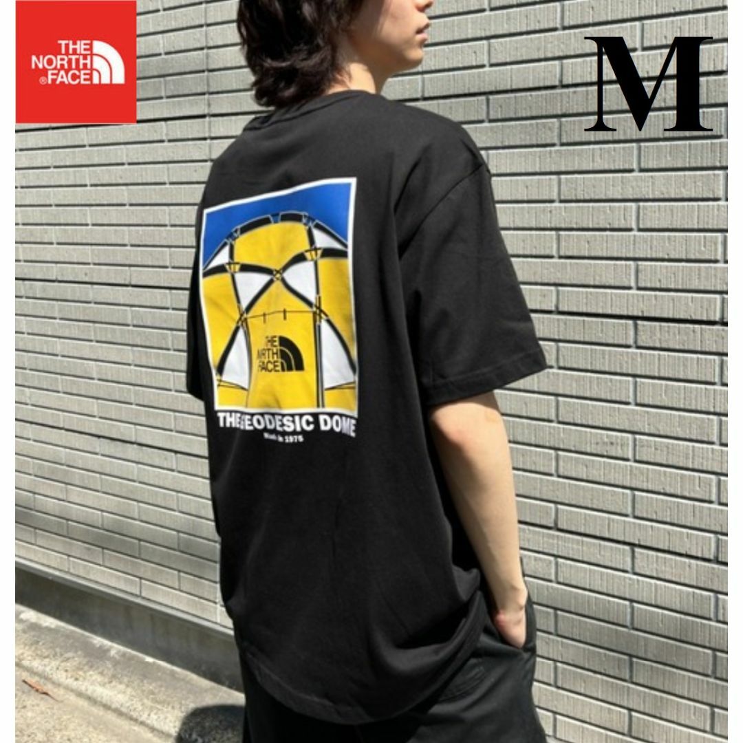 海外限定 ノースフェイス Tシャツ バックプリント 半袖 ラウンドT K459A