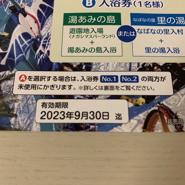 長島スパーランド　パスポート券　1枚限定！ チケットの施設利用券(遊園地/テーマパーク)の商品写真