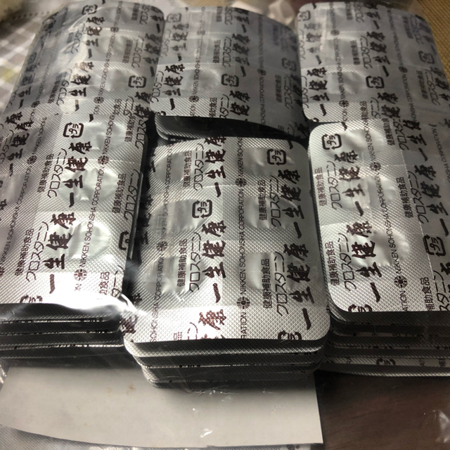 2極タイプ 【※箱なし】日建総本社 一生健康 | labiela.com