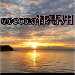 cocona様専用(使用済み切手/官製はがき)