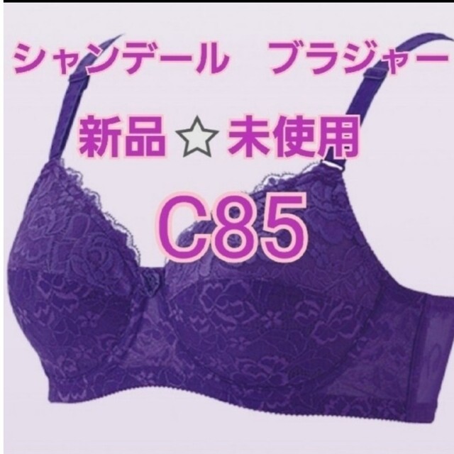 シャンデール ブラジャー C85 バイオレットブラジャーサイズ - ブラ