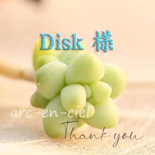 Disk 様　専用ページ 多肉種 セット(その他)