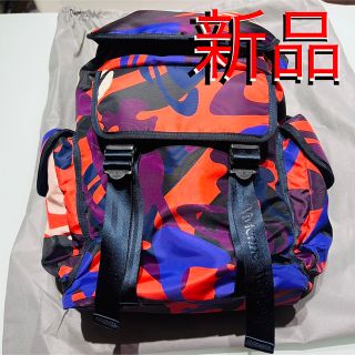 ヴィヴィアン(Vivienne Westwood) 本革 リュック(レディース)の通販 31