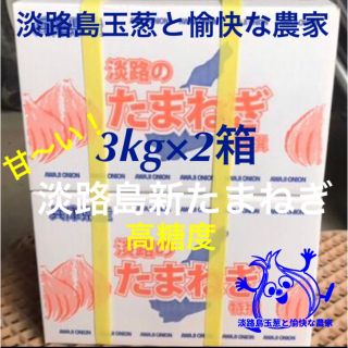 淡路島産新玉ねぎ 3kg×2箱 高糖度 新たまねぎ 新玉葱 淡路島産新玉ねぎ(野菜)