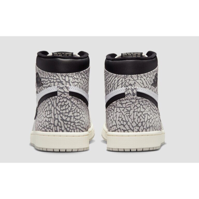Nike Air Jordan 1 High OG Cement 27.0 4