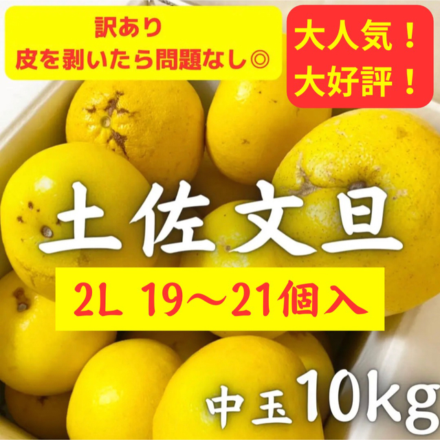 訳あり 高知特産 露地栽培 2L土佐文旦 文旦 約10kg 食品/飲料/酒の食品(フルーツ)の商品写真