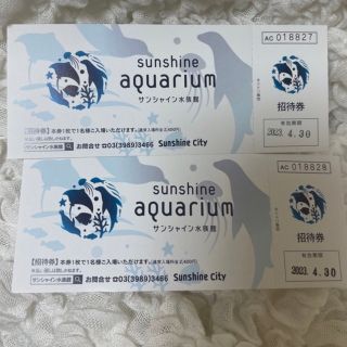 サンシャイン水族館　ペア入場券(水族館)