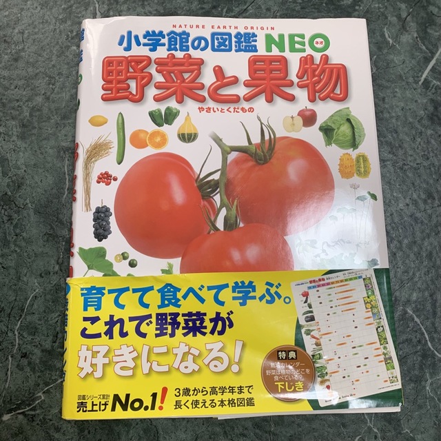 小学館の図鑑　NEO 4冊セット 2