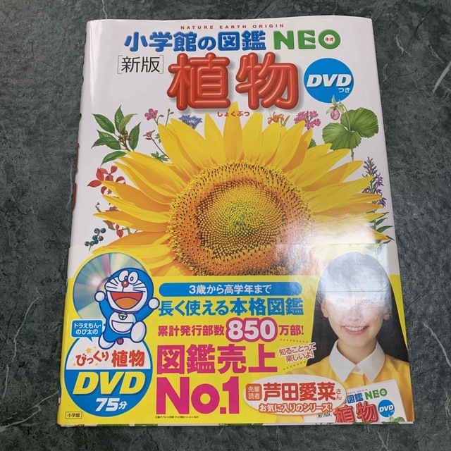 小学館の図鑑　NEO 4冊セット 4