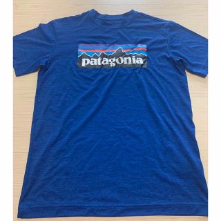 パタゴニア(patagonia)のpatagonia Tシャツ(Tシャツ/カットソー)