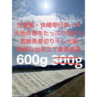 【鮭とばいちろー様専用】日本一の宮崎県産千切り（切り干し）大根　600g(野菜)