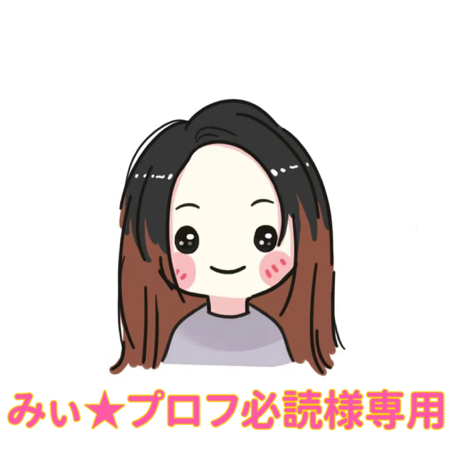 みぃ~♪プロフ必読~!様専用-