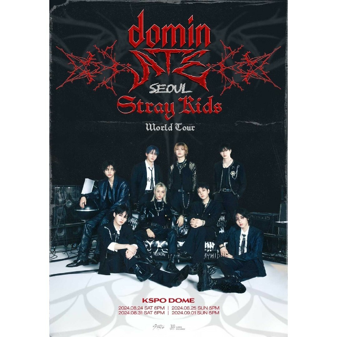 Stray Kids - STRAY KIDS 5-STAR DOME TOUR 2023の通販 by 絹花