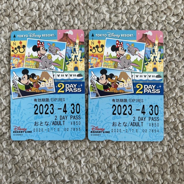 Disney(ディズニー)のディズニーリゾートライン2DAYPASS おとな2枚セット チケットの施設利用券(遊園地/テーマパーク)の商品写真