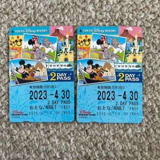 ディズニー(Disney)のディズニーリゾートライン2DAYPASS おとな2枚セット(遊園地/テーマパーク)