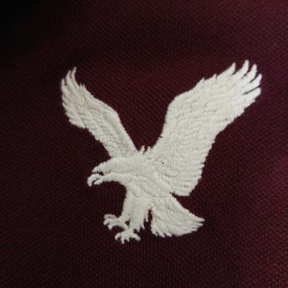 アメリカンイーグル(American Eagle)の🌟美品アメリカンイーグルポロシャツあずき色(ポロシャツ)