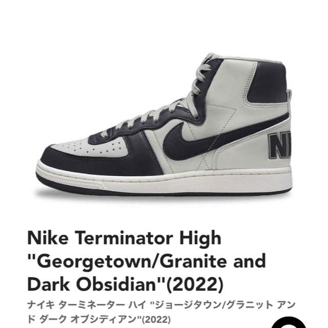 NIKE(ナイキ)のNike Terminator High "Georgetown メンズの靴/シューズ(スニーカー)の商品写真