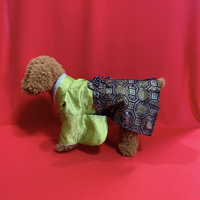 犬の袴✨犬用本格着物&袴セット M 若草色×紺 金襴 犬服 わんこ着物
