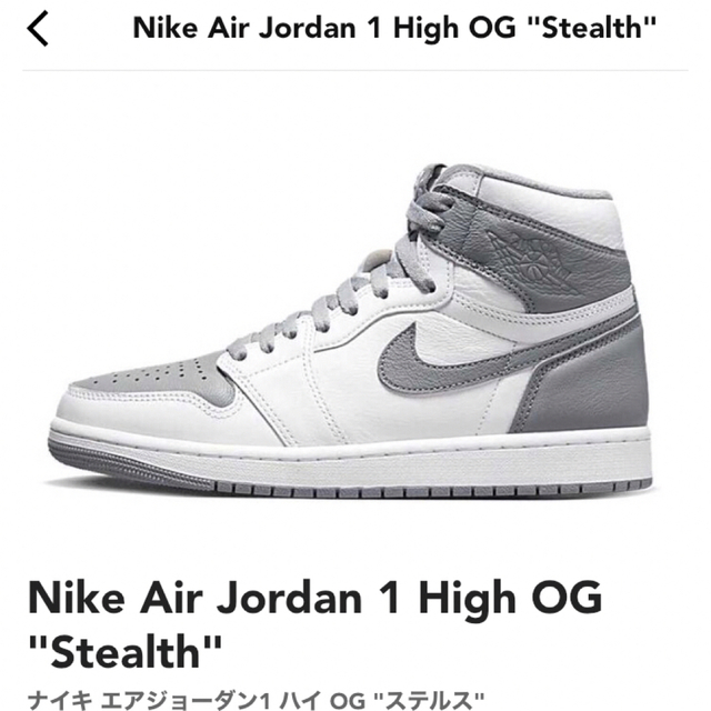 完売品Nike Air Jordan 1 High OG "Stealth" 31cm