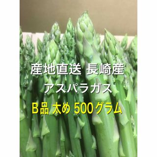 長崎産アスパラガスB品 太め 500グラム(野菜)