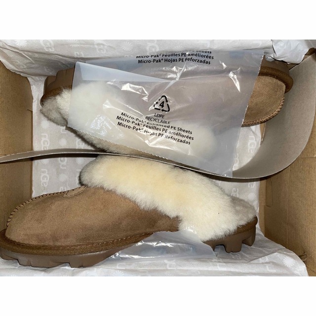 UGG アグ COQUETTE 5125 チェスナット 24cm 新品