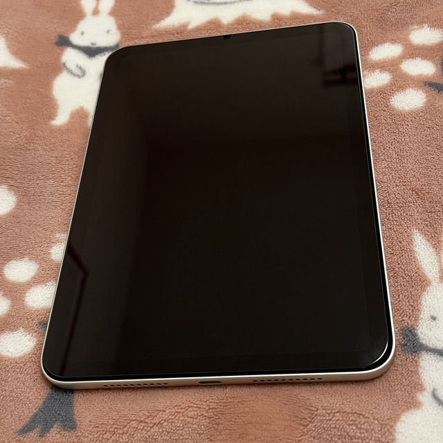 iPad(アイパッド)の超美品★iPad mini 第6世代 256GB WiFi★ スマホ/家電/カメラのPC/タブレット(タブレット)の商品写真