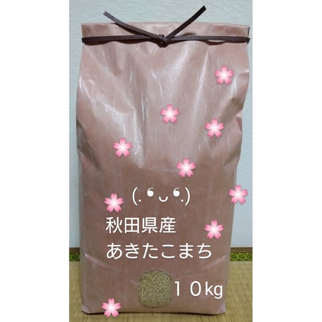 米/穀物　農家直送　あきたこまち　令和４年秋田県仙北産　１０kg