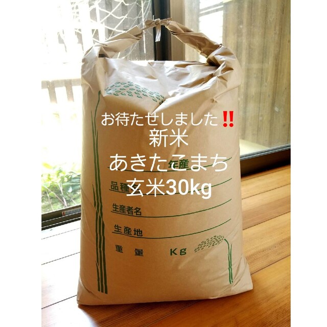 超お買い得！めっちゃうまい❗淡路島産あきたこまち❗玄米30kg食品