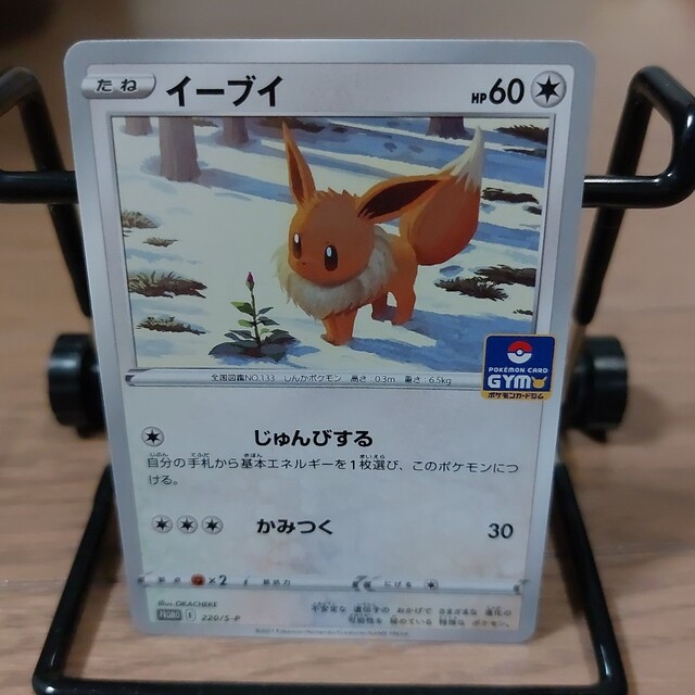 ポケモンカード　イーブイ　220/S-P ジムプロモ　5枚セット　5406番