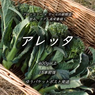 アレッタ　約400g　15本前後　ゆうパケットポスト発送(野菜)