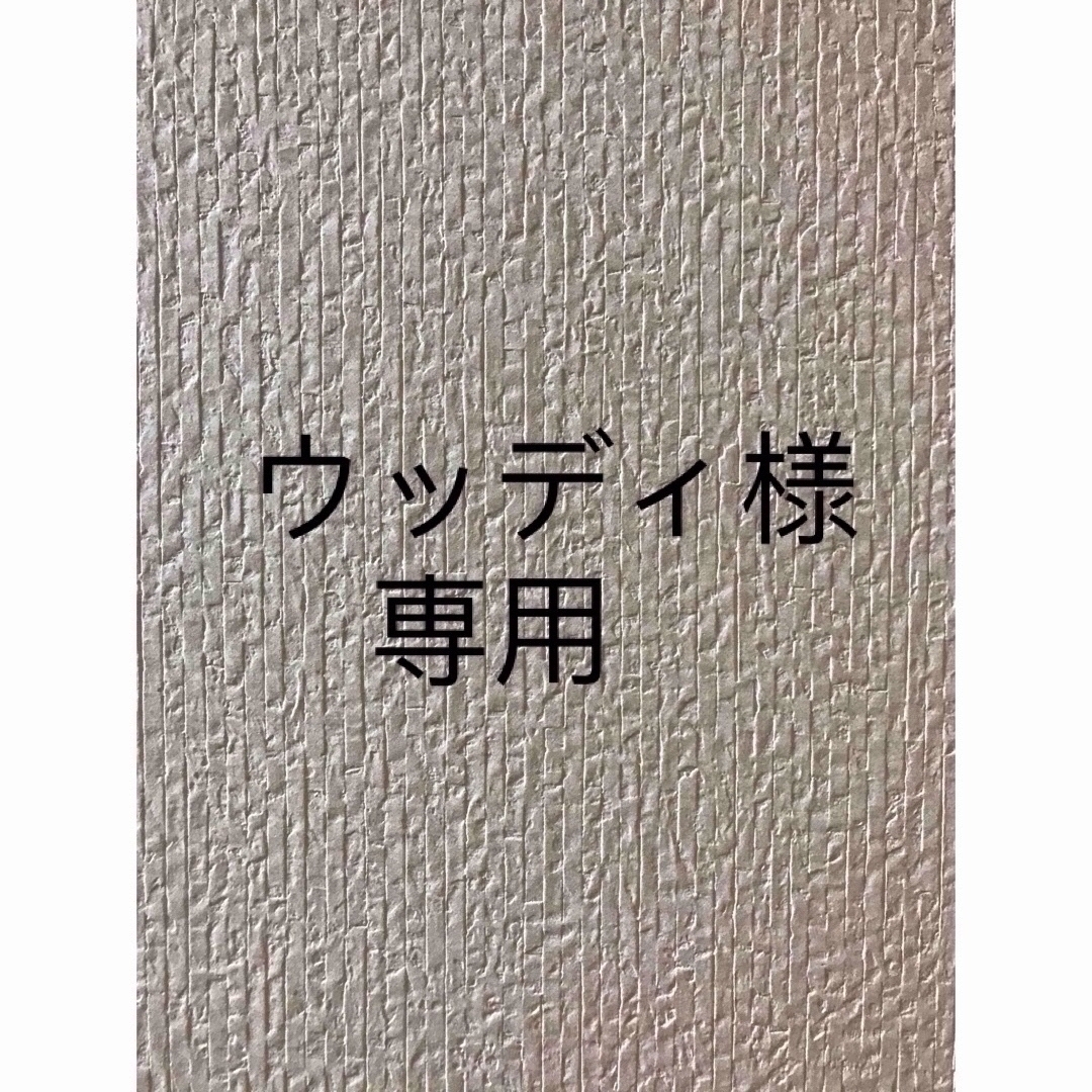 ウッディ様専用♡ ハンドメイドのキッズ/ベビー(バッグ/レッスンバッグ)の商品写真