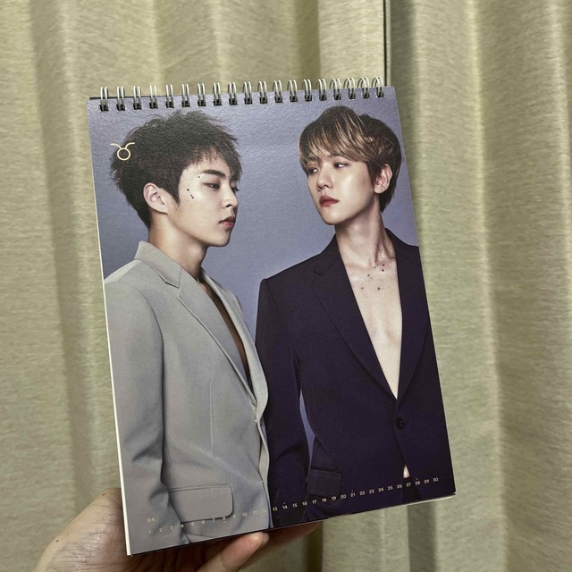 EXO 2019年　シーグリカレンダー エンタメ/ホビーのタレントグッズ(アイドルグッズ)の商品写真