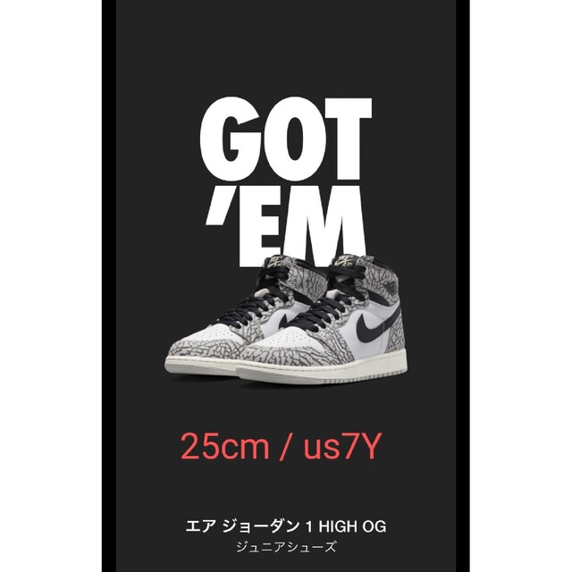 NIKE AIR JORDAN 1 RETRO HIGH OG GS 25cm - スニーカー