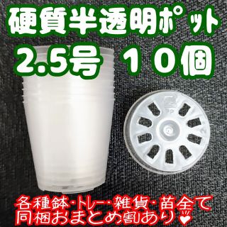 硬質半透明ポリポット 2.5号 7.5cm 10個 プラ鉢 多肉植物 プレステラ(プランター)