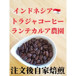 トラジャ　コーヒー　インドネシア　150g(コーヒー)